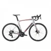 Bicicleta Mendiz F9ICR ONLY Plata Rojo